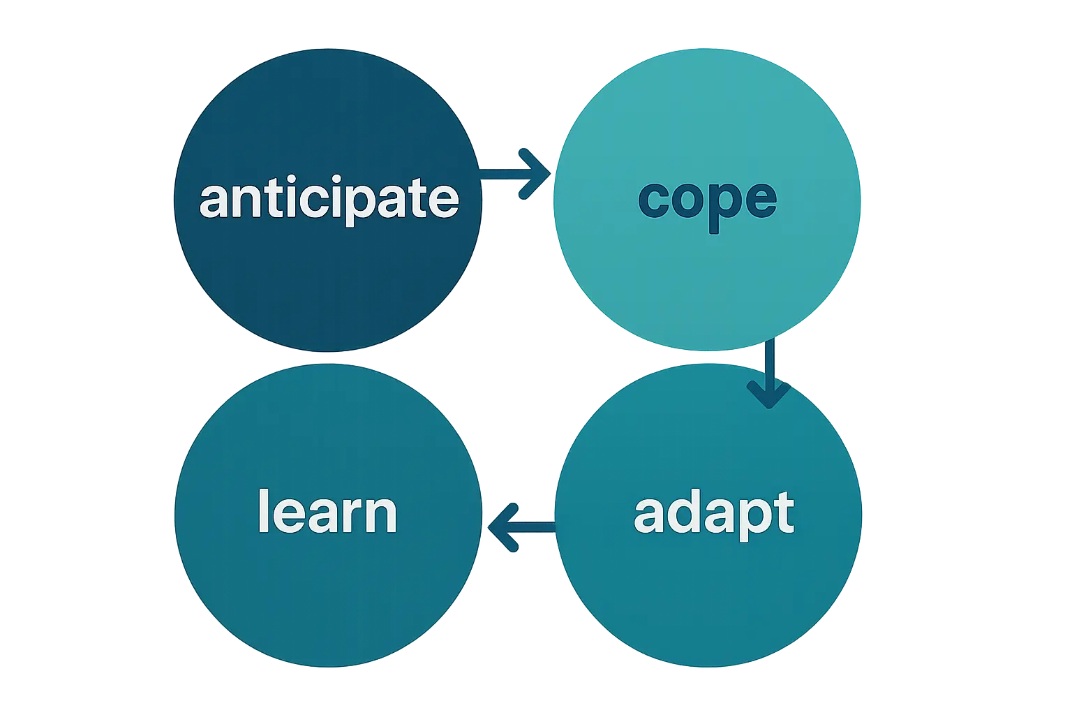A four-dimension cycle diagram of organisational resilience: anticipate, cope, adapt, learn